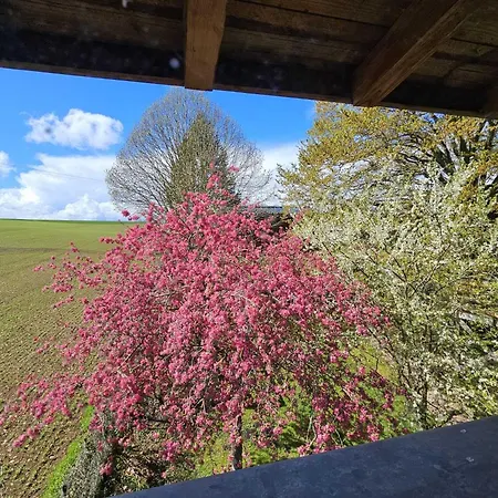 Au Refuge Des 3 Ours - D'hotes Et 3* Essuiles-Saint-Rimault