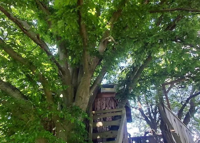 Bed & Breakfast Au Refuge Des 3 Ours - D'hotes Et