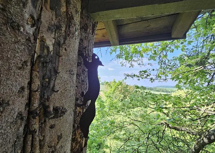 Au Refuge Des 3 Ours - D'hotes Et Bed & Breakfast