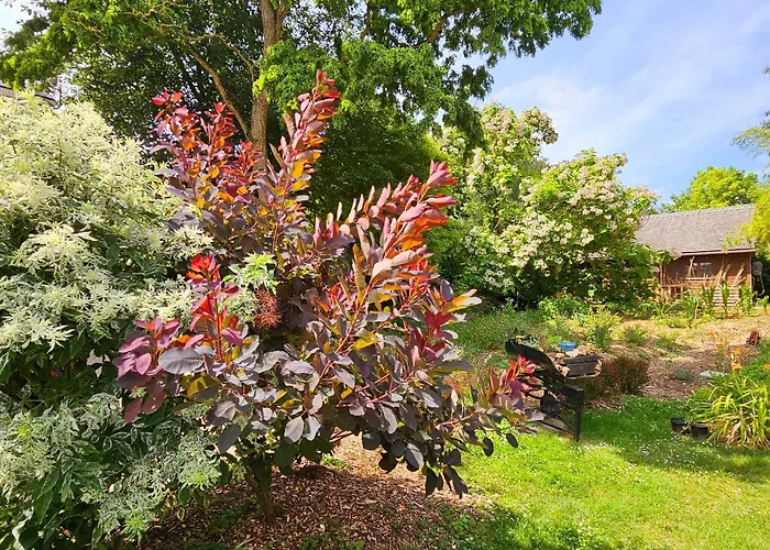 Au Refuge Des 3 Ours - D'hotes Et