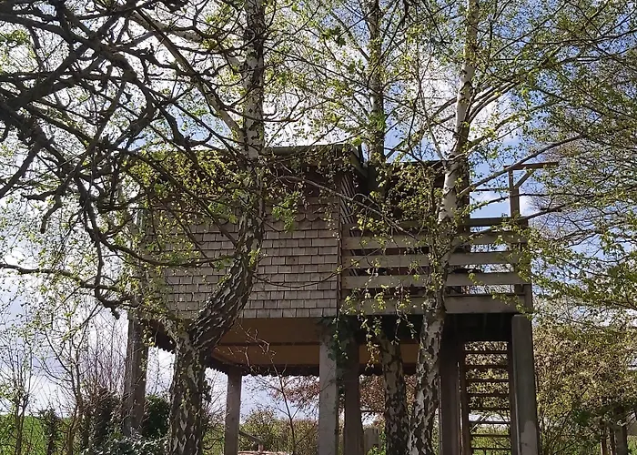 Bed & Breakfast Au Refuge Des 3 Ours - D'hotes Et 3*